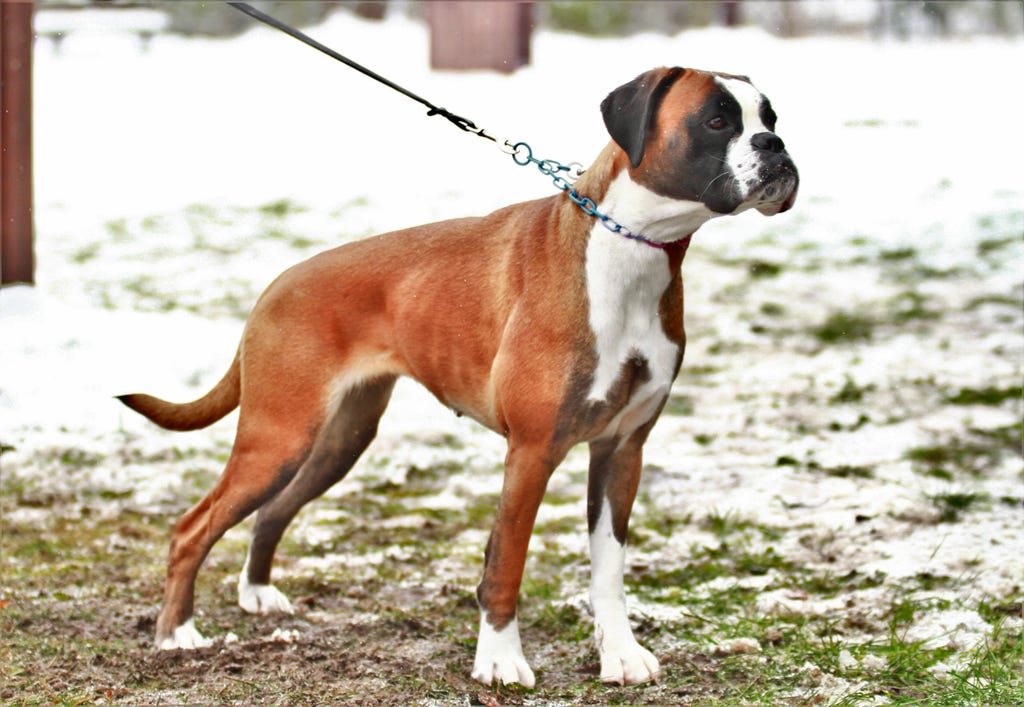 Daris und Kaskayas Tochter Belladonna von der Teufelsbrut